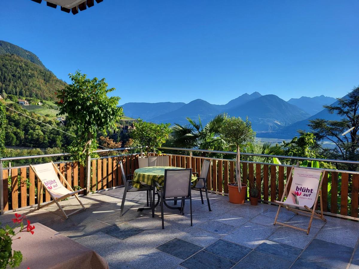 Panorama Rebgut Apartamento