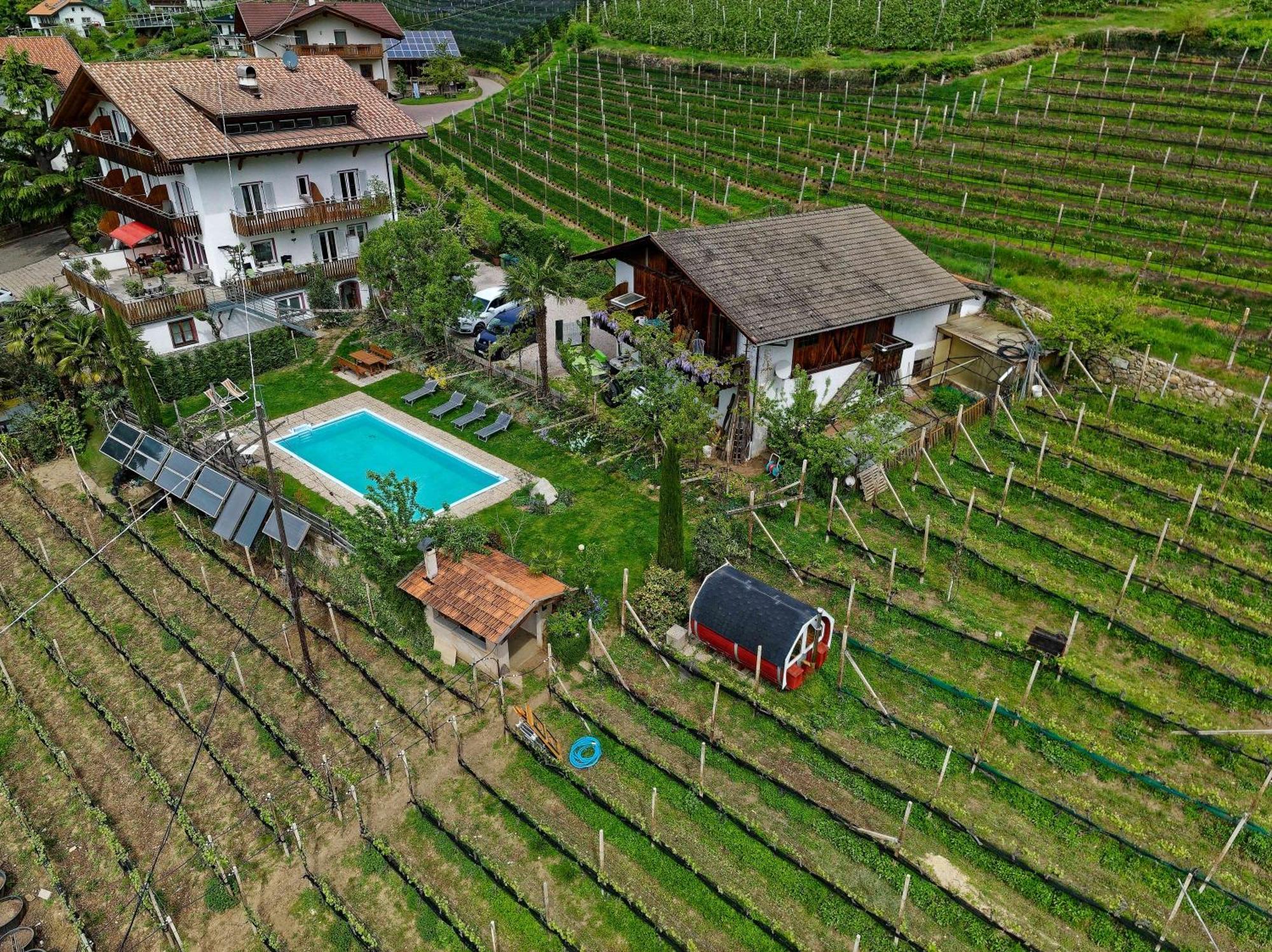 Panorama Rebgut Apartment Schenna